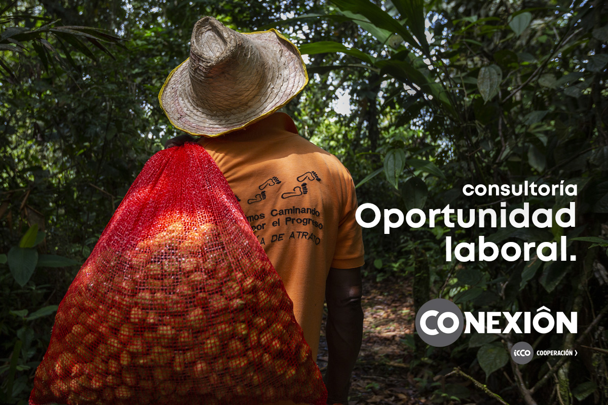 Consultoría: Dirección y Gestión Estratégica de Proyecto